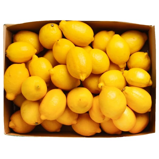 FRISCO FRESH Box Owocowy Cytryny