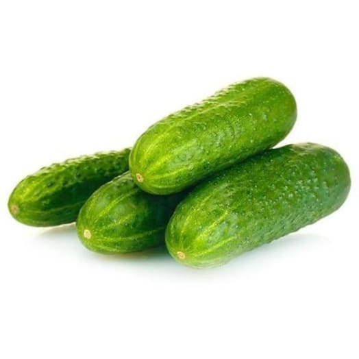 FRISCO FRESH Ogórki gruntowe
