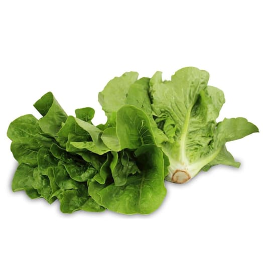 FRISCO ORGANIC Sałata rzymska mini BIO 2 szt.