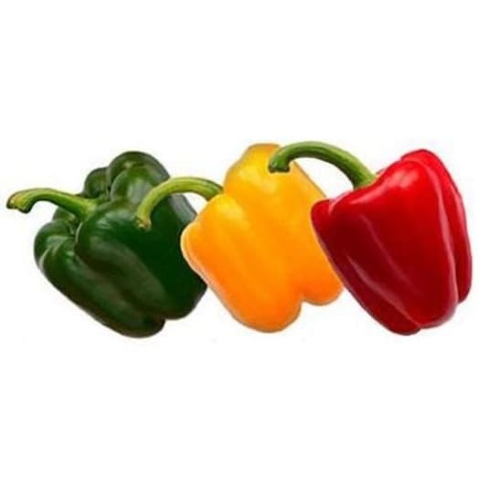 FRISCO FRESH Papryka MIX - tricolor