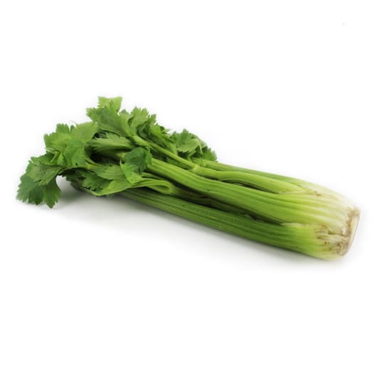 FRISCO ORGANIC Seler naciowy BIO