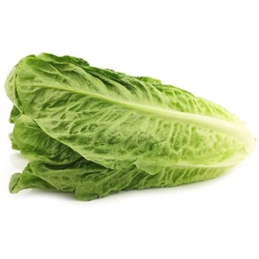 FRISCO FRESH Sałata rzymska