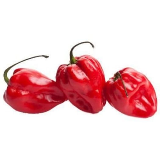 FRISCO FRESH Papryka Habanero czerwona 15-17 szt.
