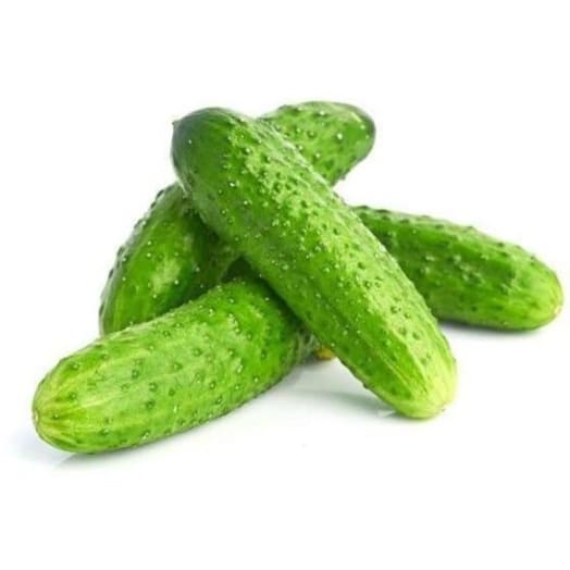 FRISCO ORGANIC Ogórki gruntowe BIO